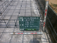 01a
